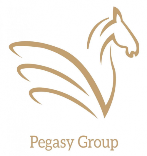 Pegasy Group