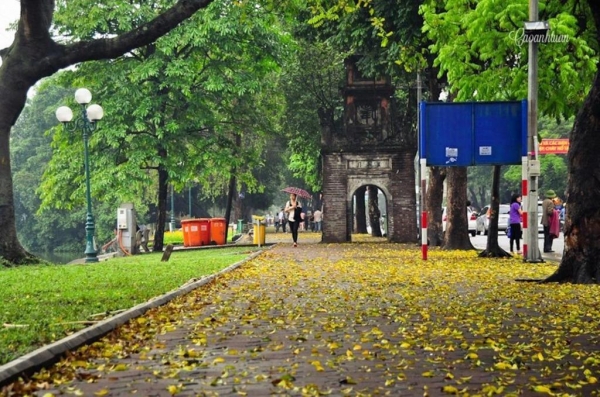 Hanoi House Hostel & Travel