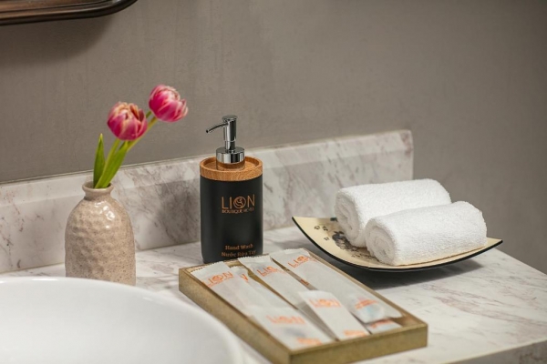 Hanoi Lion Boutique Hotel