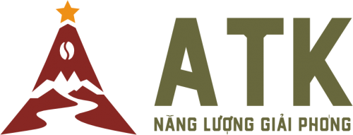 Công Ty TNHH Xuất Nhập Khẩu GFR VIệt Nam