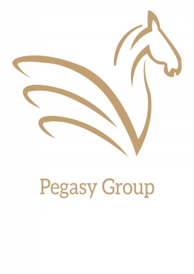 Pegasy Group
