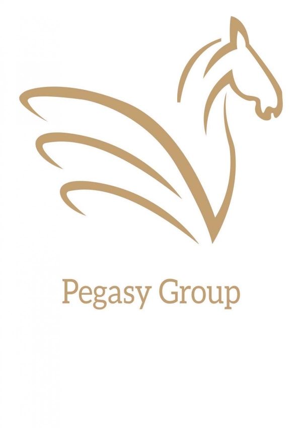 Pegasy Group