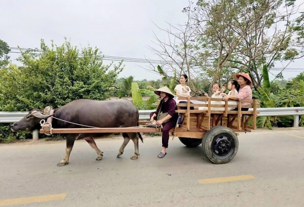 Exploring Duong Lam Ancient Village by Xe Trâu